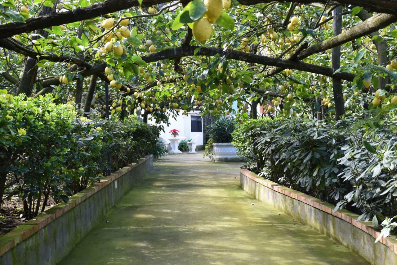 De Gregorio Daire Massa Lubrense Dış mekan fotoğraf
